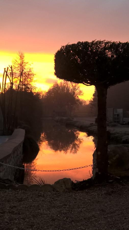 Hotel Restaurant Le Moulin De La Renne Adults Only Proche Zoo De Beauval Thesee Exterior photo